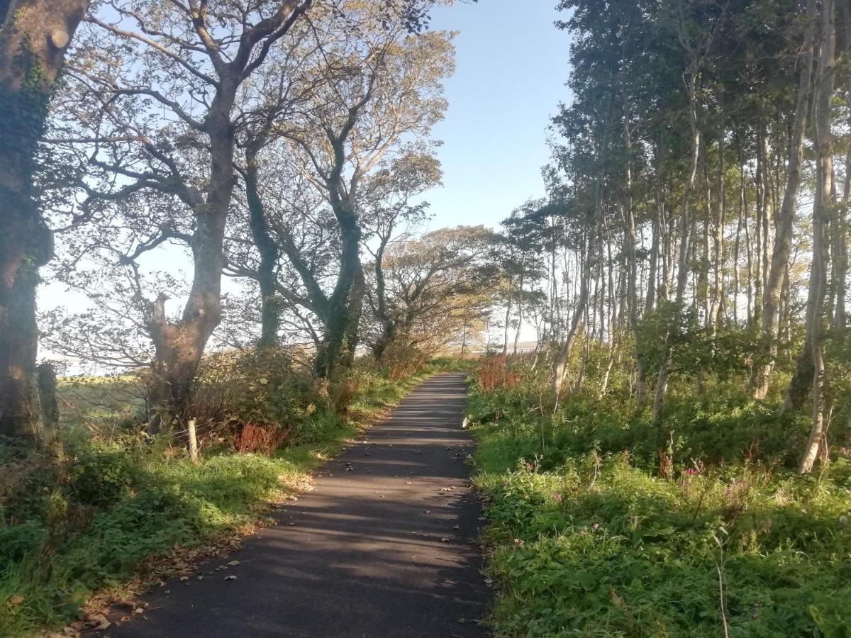 Pier Road Cottage, Croagh Patrick ويستبورت المظهر الخارجي الصورة