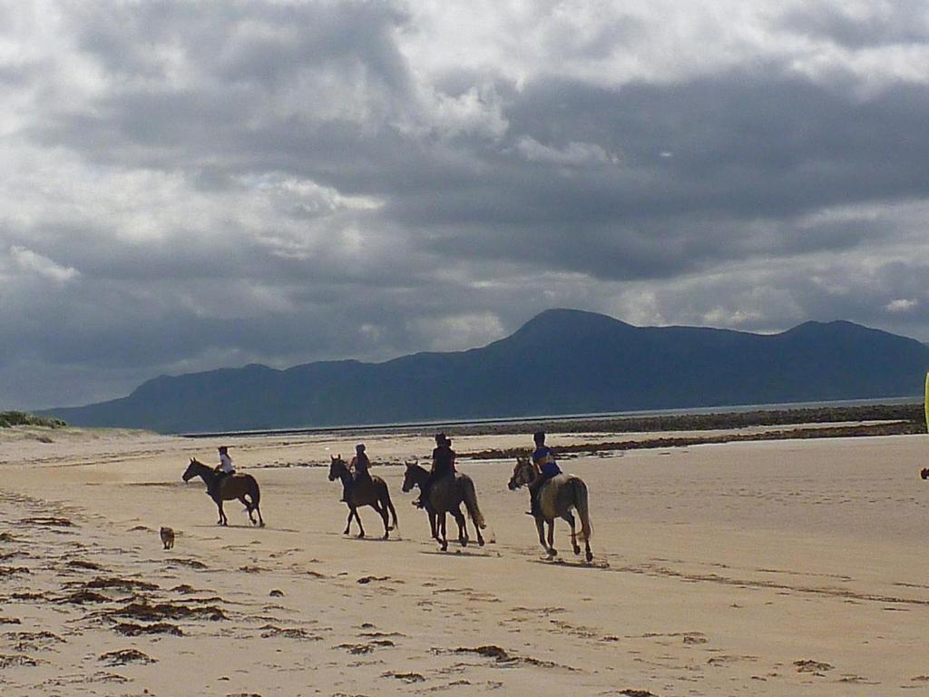 Pier Road Cottage, Croagh Patrick ويستبورت المظهر الخارجي الصورة