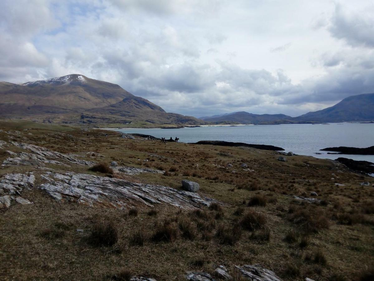 Pier Road Cottage, Croagh Patrick ويستبورت المظهر الخارجي الصورة